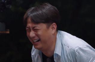 黄磊表情包丢鞋