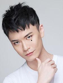 黄鹤个人资料,才华横溢的艺术家，人生轨迹与艺术成就的完美融合