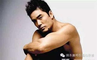 男明星有被男总潜的吗,男明星遭遇男总潜规则的内幕